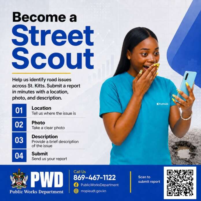 Street Scout Flyer