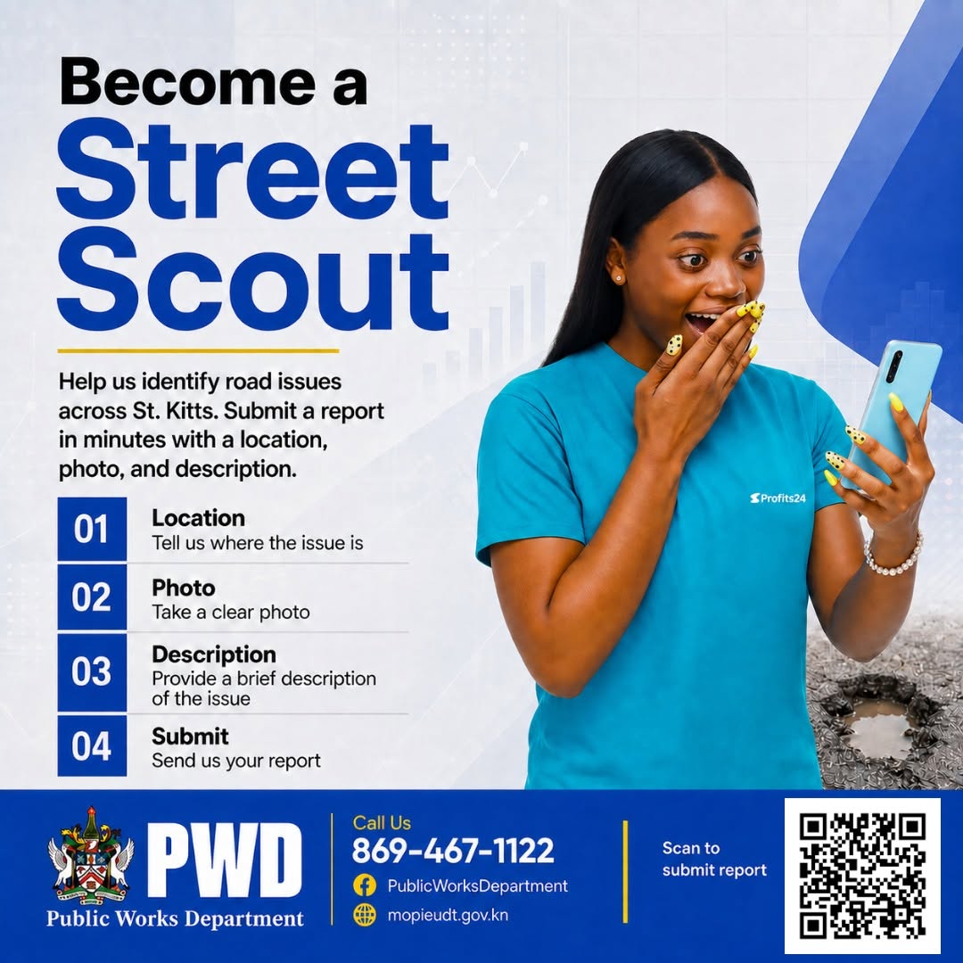 Street Scout Promotional Flyer Street Scout