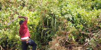 PWD Daily Tracker – August 29/30, 2024