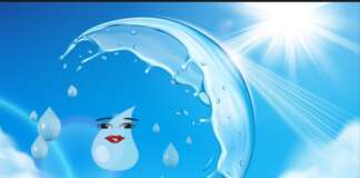 A New Look at an Old Friend: Splishy Splash Returns!