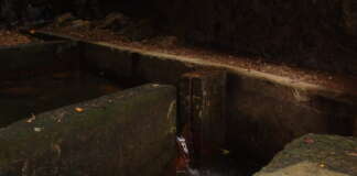 See the Activities of the WSD for Monday, December 29, 2025